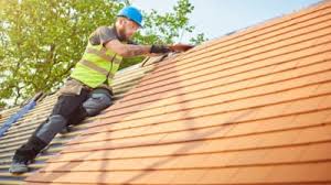Best Roof Ventilation Installation  in Wildwood, MO