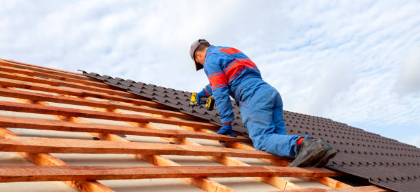Best Siding  in Wildwood, MO