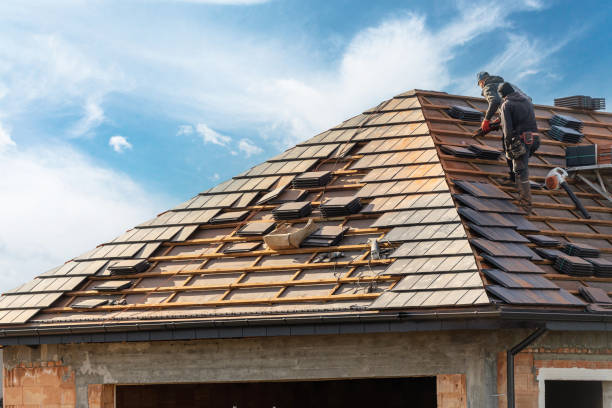Best Asphalt Shingle Roofing  in Wildwood, MO